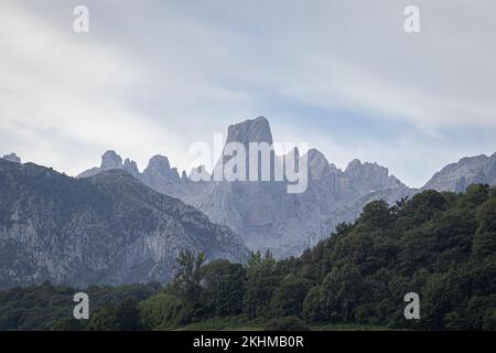 Naranjo de Bulnes (PICU Urriellu) Kalksteingipfel, Picos de Europa Nationalpark, Asturien, Spanien Stockfoto