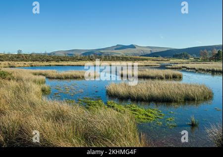 Blick vom Teich auf Mynydd Illtyd in Richtung Pen y Fan und Corn Du in den Central Brecon Beacons an einem sonnigen Novembertag. Stockfoto