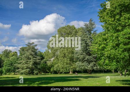 Kurpark, Salzbachtal, Wiesbaden, Hessen, Deutschland Stockfoto