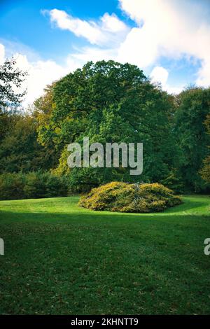 Burgpark Frederiksborg im Herbst mit mächtigen Laubbbäumen auf den Gartenwiesen. Bunte Farben der Blätter. Spaziergang in Dänemark Stockfoto