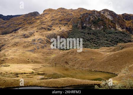 Landschaftsblick auf eine Gletscherlagune im Cajas-Nationalpark im Hochland der Anden von Ecuador, den tropischen Anden. Stockfoto