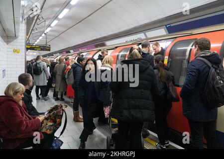 London, Großbritannien, 23. November 2022: Zu Beginn der abendlichen Hauptverkehrszeit reisen Büroangestellte und Einkäufer mit der Northern Line der Londoner U-Bahn von der Tottenham Court Road. Nur eine winzige Minderheit von Menschen tragen Gesichtsmasken, um die Ausbreitung von Erkältungen, Grippe und Coronavirus zu verhindern. Anna Watson/Alamy Live News Stockfoto