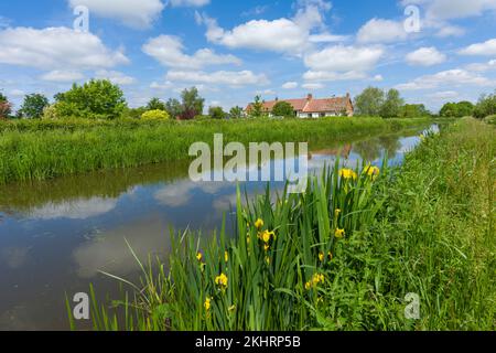 Bridgwater und Taunton Canal auf dem Land in Outwood, Somerset, England. Stockfoto