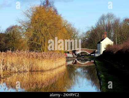 Fotografieren Sie Shropshire und Worcester Canal, einen British Waterways Canal in der Nähe von Tixall in Staffordshire, der eine leichte Form der Natur zeigt Stockfoto