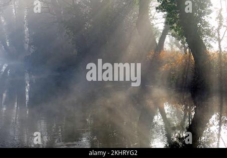 Misty am frühen Morgen auf den Trent und Mersey Canal eine britische Wasserwege Canal in der Nähe von Handsacre in Staffordshire, gedämpftes Licht Formen der Natur, so Stockfoto