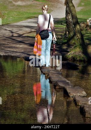 Person, die über Stepping Stones über den Sher Brook, Sherbrook Valley, Cannock Chase AONB (Gebiet von herausragender natürlicher Schönheit) in Staffordshire geht Stockfoto