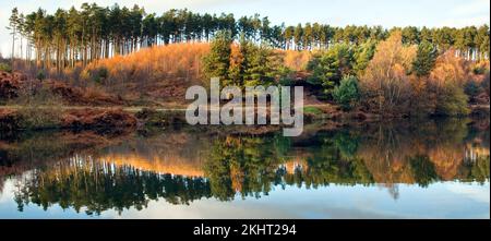 Atemberaubende Herbsttöne und -Farben spiegeln sich in den Fair Oak Pools im Herbst in der Gegend Cannock Chase von herausragender natürlicher Schönheit in Staffordshire wider Stockfoto