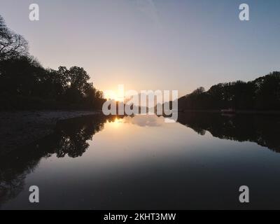 Eine malerische Ausstellung von Waldbäumen, die sich bei Sonnenuntergang auf der Themse in Richmond West London spiegeln Stockfoto