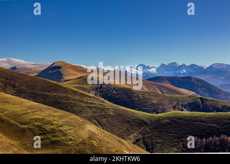 Selva de Irati en otoño, valle de Salazar, Puerto de Larrau junto a la frontera francesa, Navarra, España Stockfoto