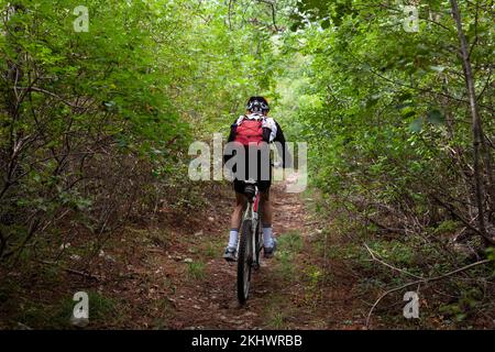 Rückansicht eines erfahrenen Radfahrers. Mountainbiker in den Basovizza Woods fahren auf dem Pfad im Herbstwald entlang. Triest Italien Stockfoto