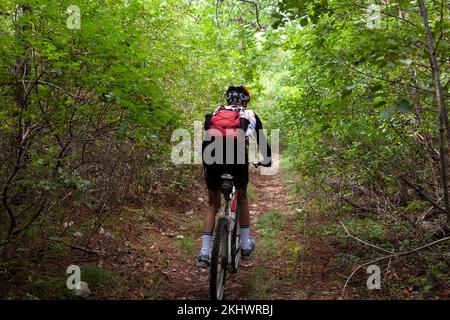 Rückansicht eines erfahrenen Radfahrers. Mountainbiker in den Basovizza Woods fahren auf dem Pfad im Herbstwald entlang. Triest Italien Stockfoto