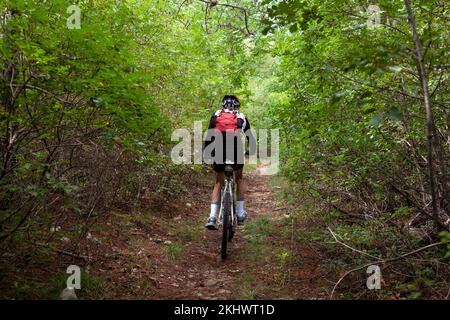 Rückansicht eines erfahrenen Radfahrers. Mountainbiker in den Basovizza Woods fahren auf dem Pfad im Herbstwald entlang. Triest Italien Stockfoto