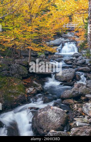 Kleine Wasserfälle direkt stromabwärts von Crystal Cascades auf dem Ellis River. Tuckerman Ravine Trail. Jackson. New Hampshire. USA Stockfoto