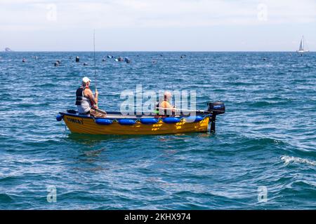 Angler in kleinen Holzbooten beim Angeln in der Nähe von Torquay Stockfoto