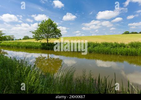 Bridgwater und Taunton Canal auf dem Land in Outwood, Somerset, England. Stockfoto