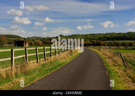 Eine mit Zäunen gesäumte Landstraße im Herbst. Stockfoto