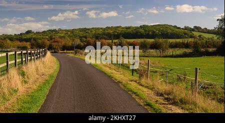 Eine mit Zäunen gesäumte Landstraße im Herbst. Stockfoto