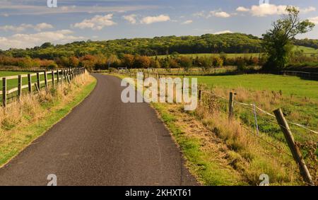 Eine mit Zäunen gesäumte Landstraße im Herbst. Stockfoto