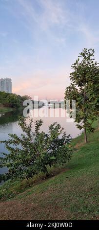 Der ökologische Park Indaiatuba bei Sonnenaufgang Stockfoto