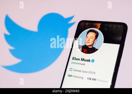 In dieser Fotoabbildung wird das Twitter-Konto von Elon Musk auf einem Smartphone und das Twitter-Logo im Hintergrund angezeigt. Stockfoto