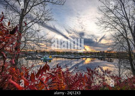 Marina im Nepean Sailing Club Stockfoto