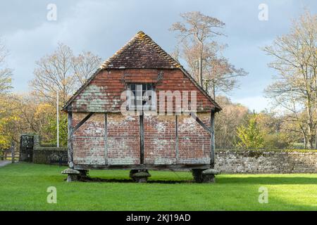 Die Cowdray Heritage Ruins in Cowdray Park, Midhurst, West Sussex, England, Großbritannien, Im November. Das denkmalgeschützte Korngebäude Stockfoto