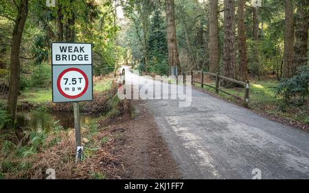 Straßenschild, das auf eine schwache Brücke im New Forest hinweist. Stockfoto