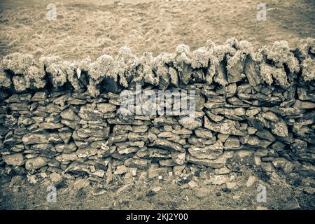 Irland, Inishbofin, eine Insel auf den westlichsten Inseln vor der irischen Küste, trockene Steinmauern Stockfoto