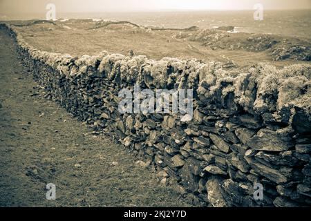 Irland, Inishbofin, eine Insel auf den westlichsten Inseln vor der irischen Küste, trockene Steinmauern Stockfoto