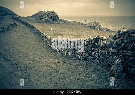 Irland, Inishbofin, eine Insel auf den westlichsten Inseln vor der irischen Küste, trockene Steinmauern Stockfoto