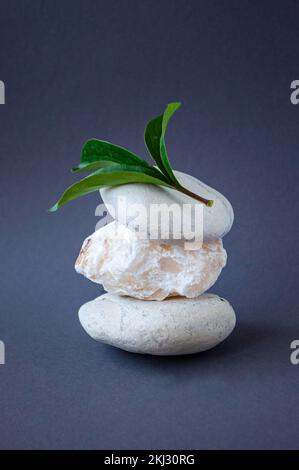 Abstrakte Naturszene mit Zusammensetzung aus weißen Steinen und grünen Blättern auf dunklem Hintergrund. Hintergrund für das Branding von Kosmetik- und Schönheitsprodukten. Stockfoto