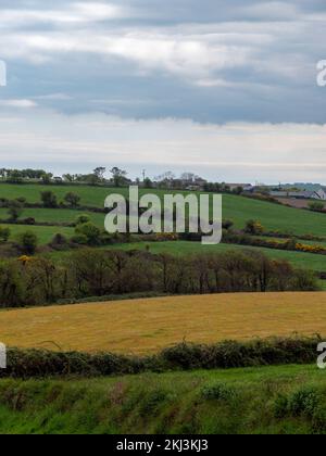 Malerische irische Hügel unter einem wunderschönen bewölkten Himmel. Irische Natur, Frühlingslandschaft. Grünes Grasfeld unter Wolken Stockfoto