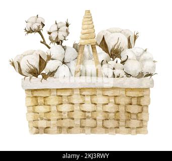 Handgezeichnete Baumwollblumen in Aquarellfarben. Getrocknete Pflanzen im Korb. Illustration für Hochzeitseinladungs- oder Grußkarten im Vintage-Stil. Weißer Blumenstrauß auf isoliertem Hintergrund in süßen Pastelltönen. Stockfoto