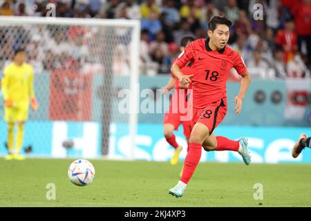 Lee Kang-in aus Südkorea anlässlich der FIFA-Weltmeisterschaft 2022, Fußballspiel der Gruppe H zwischen Uruguay und der Republik Korea am 24. November 2022 im Education City Stadium in Doha, Katar - Foto: Jean Catuffe/DPPI/LiveMedia Stockfoto