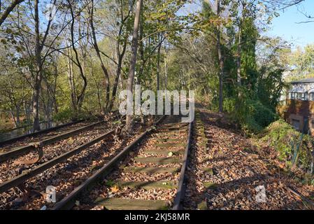 Stillgelegter Abschnitt der ehemaligen S-Bahn-Linie Siemensbahn, soll durch 2030 Teil des Siemensstadt-Projekts, Berlin, wiedereröffnet werden Stockfoto