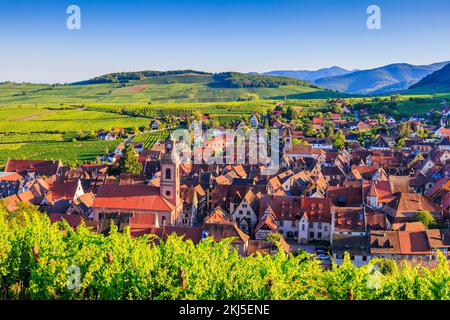 Riquewihr, Elsass. Frankreich. Landschaft mit Weinbergen in der Nähe des historischen Dorfes. Stockfoto