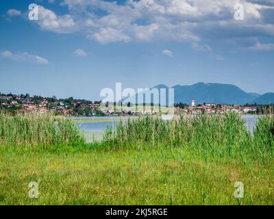 Landschaftsblick mit Blick über den Hopfensee bis zur Gemeinde Hopfen am See in Bayern im Sommer mit blauem Himmel und Wolken. Stockfoto