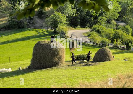 Bauern und Heuhaufen auf einem Feld Serbiens, Kamena Gora Stockfoto