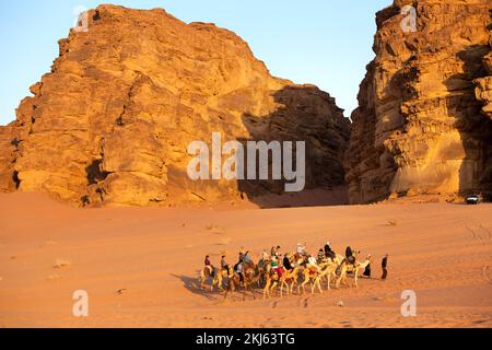 Jordanien, Wadi Rum - 2. November 2022: Kamelkarawane mit Touristen in der Wüste, Felsenberge bei Sonnenuntergang Stockfoto