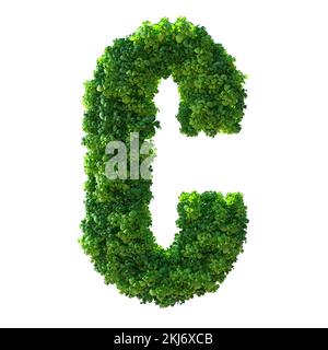 3D Buchstabe C. Grüne Pflanze, Blätter, Gras, Moos, Basilikum, Minze. Isoliert auf weißem Hintergrund mit Beschneidungspfad. 3D Abbildung. Stockfoto