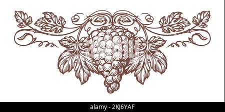 Trauben mit Blattmustervektor. Frische Fruchtskizze. Weingut, Wein, saftiges Element für das Etikettendesign Stock Vektor