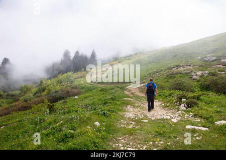 Männliche Touristen wandern durch einen nebligen Wald auf einem Pfad zum Khvamli Mountain Peak in Racha Region in Georgia. Stockfoto