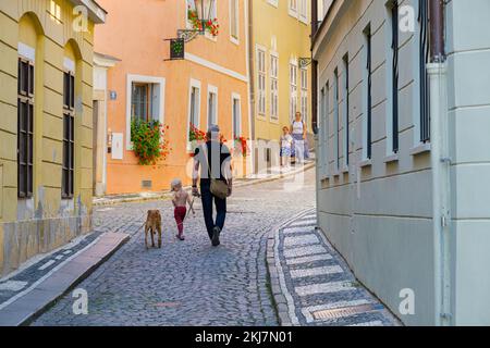 Prag, Tschechische Republik - 4. September 2022: Vater, Tochter und Hund gehen auf einer gepflasterten Straße in der Prager Altstadt Stockfoto