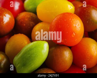 Frische, bunte Tomaten. Nahaufnahme. Viele Objekte. Vitamine, Antioxidantien. Diätetische und vegetarische Lebensmittel, gesunder Lebensstil. Es sind keine Personen in der Stockfoto