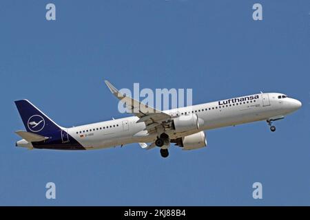 Deutschland, Bayern, München: D-AIEE Airbus A.321-271NX (c/n 9046) der Lufthansa am Münchner Flughafen Franz Josef Strauss. Stockfoto