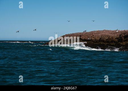 Caleta Valdes Landescape, Halbinsel Valdes chubut Provinz Patagonien Argentinien Stockfoto