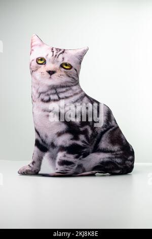 Kissen in Form einer Katze auf weißem Hintergrund Stockfoto