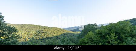 Panoramablick auf die Waldstraße. Igneada, Türkei Stockfoto