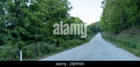 Panoramablick auf die Waldstraße. Igneada, Türkei Stockfoto