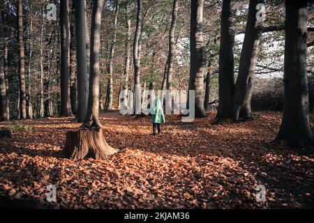 Rückansicht für ein nicht wiedererkennbares kleines, mit Kapuze versehenes Kind mit Gehstock allein auf großem Holz (Kopierbereich) Stockfoto